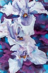 Irises, by Jane Brennan Koeck