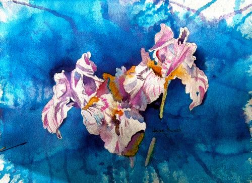 Joyful Irises, by Jane Brennan
