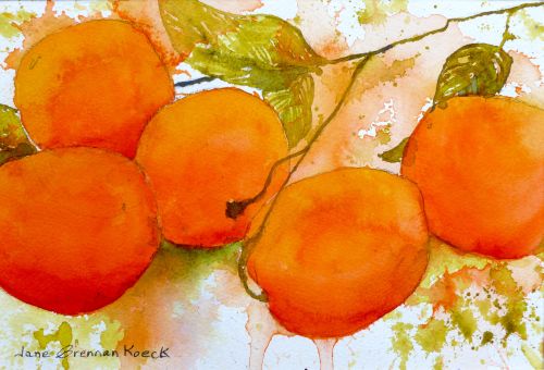 Oranges, by Jane Brennan