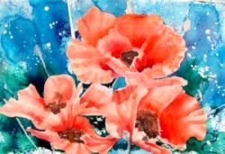 Poppies, by Jane Brennan 