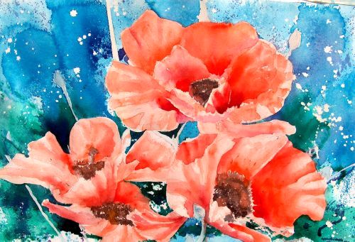 Poppies, by Jane Brennan