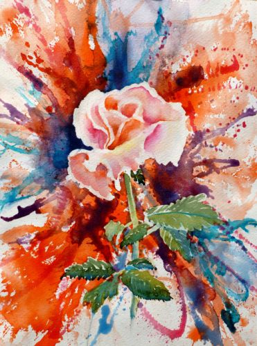 Rose Explosion, by Jane Brennan