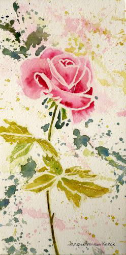 Rose, by Jane Brennan 