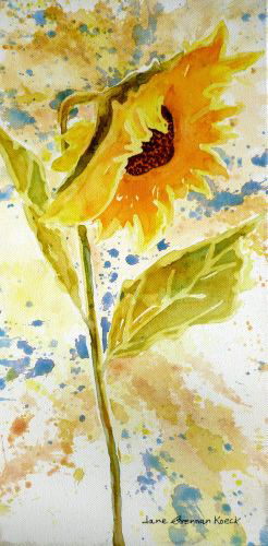 Sunflower, by Jane Brennan 